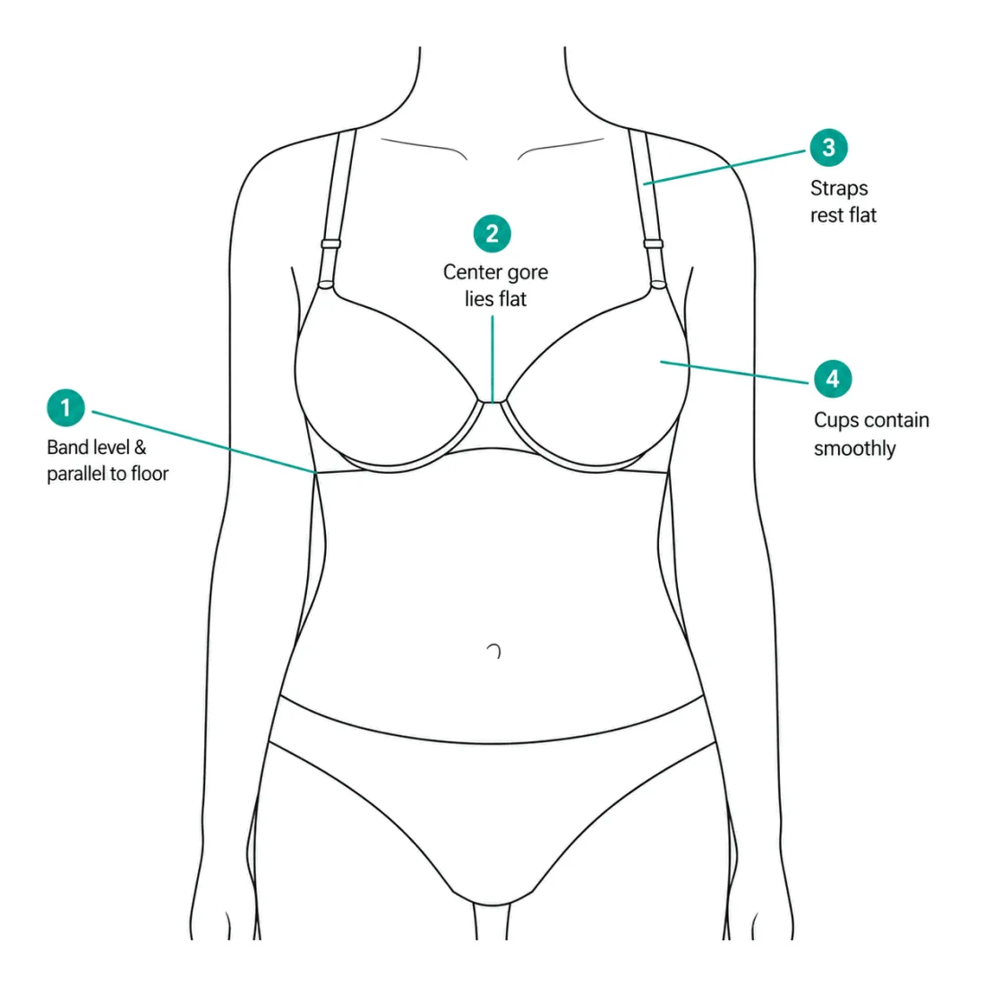 Front view of a well-fitting bra with checkpoints: band level and parallel to the floor, center front flat against the sternum, straps resting flat, and cups containing smoothly.